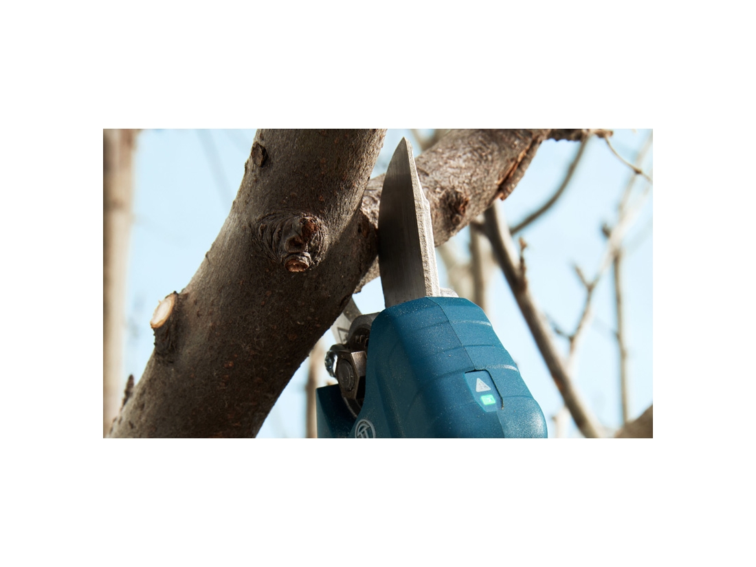 Bosch Pro Pruner Professional