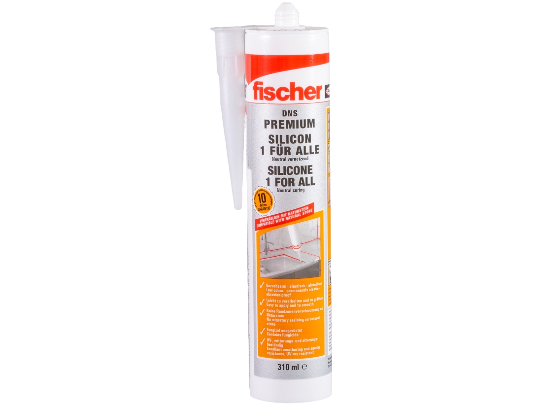 Fischer DNS TP