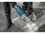 Bosch GWS 24-180 P Professional