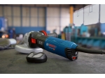 Bosch GWS 17-125 TS Professional