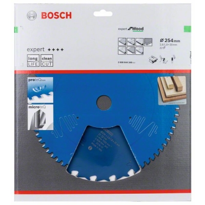 Bosch EX WO T 254x30-22 PROFESSIONAL