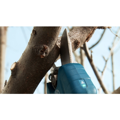 Bosch Pro Pruner Professional